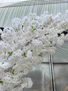 Nhân Tạo Hoa Anh Đào Hoa Hàng Cây Vòm Cửa Đường Dẫn Mặt Trăng Vòm Trang Trí Nội Thất Hoa Anh Đào Vòm Cho Đảng Đám Cưới Backdrop - Product Image 4