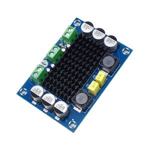 XH-M542 TPA3116D2 <span class=keywords><strong>Mono</strong></span> 100Wเครื่องขยายเสียงดิจิตอลระบบเสียงดิจิตอลDIYไฮไฟแอมป์โมดูล 12-26V DC - Product Image 1