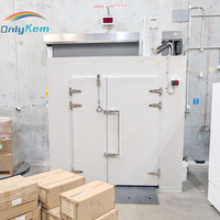 Mini Cámara Frigorífica Modular de Bajo Precio, Fabricada en China, Pequeña Cámara Frigorífica Tipo Walk-in