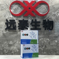 Kit Penelitian ELISA Peptida Mirip Insulin Manusia INSL5