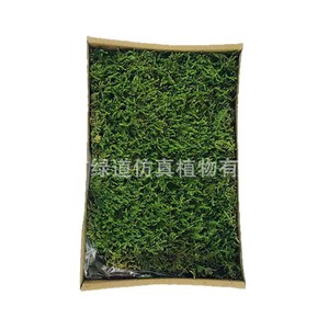 Panneau mural en mousse artificielle Greenway 30cm vert militaire pour décoration intérieure et extérieure - Product Image 3