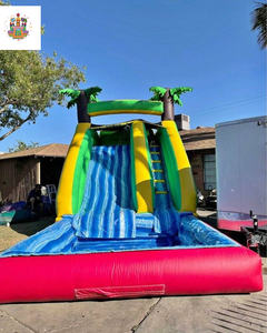 Tobogán Acuático Inflable de PVC y <span class=keywords><strong>Casa</strong></span> de Brinco de Doble Carril con <span class=keywords><strong>Piscina</strong></span> Larga para Parques Deportivos, Parques de Aventuras y Parques de Trampolines - Product Image 5