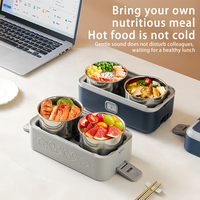 Boîte à lunch électrique, chauffe-aliments portable adapté à la maison et au bureau sont des cadeaux idéaux pour les hommes et les femmes