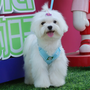 Harness rompi anjing berbahan mesh bernapas dengan motif sepak bola Piala Dunia 2026, cocok untuk anjing kecil, set harness dan tali kekang hewan peliharaan - Product Image 1