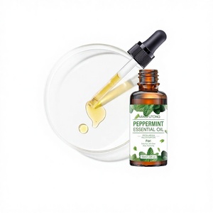 Huile Essentielle de Menthe Poivrée Transfrontalière Entièrement Anglaise pour Hydratation Faciale, Soins Corporels, Massage, <span class=keywords><strong>Tuina</strong></span> et Soins Capillaires - Product Image 1
