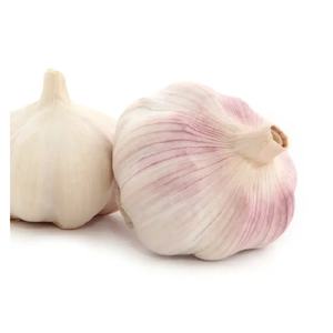 <span class=keywords><strong>Ail</strong></span> frais 2025 nouvelle culture <span class=keywords><strong>ail</strong></span> blanc de haute qualité en vrac <span class=keywords><strong>non</strong></span> <span class=keywords><strong>pelé</strong></span> 10kg sac en maille exportation - Product Image 4