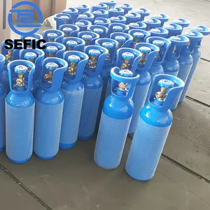 Piccolo Mini serbatoio di Gas in acciaio ad alta pressione 5l serbatoio di ossigeno portatile con manico in plastica blu