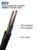 Maßgefertigtes RVV Flexibles Flammhemmendes Ingenieur-Team Mehradriges OFC-Kupfer 300/500V Hauskabel für Gewerbeimmobilien