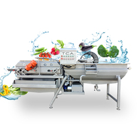 Bevroren Groenten Verwerking Lijn Groente Bubble Cleaning Machine Lijn Fruit En Groente Productielijn