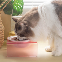 Fabricant de bols surélevés en céramique pour animaux de compagnie avec support en acrylique surélevé Bols surélevés pour chiens et chats Accessoires pour animaux de compagnie