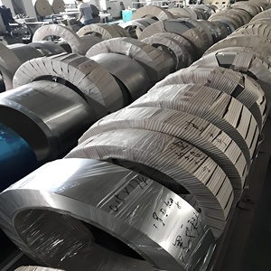 Bobina de Chapa de Hojalata Electrolítica Duradera, Precio Competitivo, Modelos T52 T57 T61 TH415 TH520 TH550 SPTE <span class=keywords><strong>TFS</strong></span> - Product Image 3