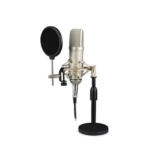 New Products Portable Karaoke Condenser Mic Microphone Karaoke Player Mini Usb Recording Microphone