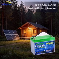 Batería de fosfato de hierro grado A 12V 120AH 6000+ ciclos Ciclo profundo Almacenamiento doméstico RS485 Smart BMS Conector Anderson CE RoHS IP67 OEM ODM