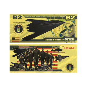 USA Luftfahrt Flugzeug Goldfolie Sammelkarten F16 F22 F35 B2 <span class=keywords><strong>AH64</strong></span> Flugthema Souvenir Geschenk - Product Image 3