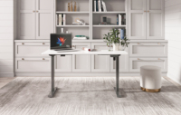 Bureau debout électrique moderne OMNI en métal extensible avec contrôleur de mémoire, réglable en hauteur, ergonomique, pour le travail assis-debout
