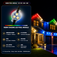 Source de lumière LED RVBW adressable de 30 mm, 12V 24V 36V, éclairage de Noël permanent pour la décoration des bâtiments