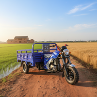 Véhicule de fret agricole à trois roues à déchargement automatique, moto-tricycle à essence, véhicule à trois roues