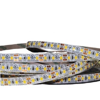 SMD2835 120LED IP65 DC12 Volt 3000K blanco cálido solo color inteligente Flex Led Strip Light