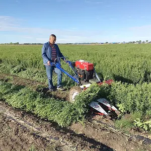 Máquina de corte de hierbas diésel, cosechadora de trébol, perilla, alfalfa