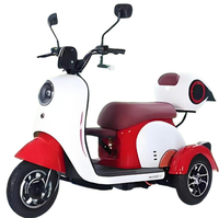 Tricycle Électrique Rétro à 3 Roues pour Personnes Âgées et Enfants, Vente en Gros Usine, OEM/ODM Disponible