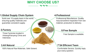 Keo tự nhiên vỏ cây chiết xuất bột cấp thực phẩm thảo dược bổ sung trong kính container hoặc Mason Jar bao bì - Product Image 6