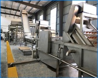 Industriële granaatappel-passievrucht sapmachine motor 304 roestvrij staal hoge-capaciteit fruit sap productie