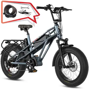 Высокоскоростной Электрический Грузовой Велосипед FUCARE, 28 миль/ч, 750 Вт, мотор, прямая продажа, велосипед с толстыми шинами