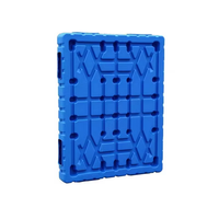 Moldes de Soplado Multicavidad Personalizados para Palés de Plástico - Alto Rendimiento, Acero Duradero, Se Aceptan OEM/ODM