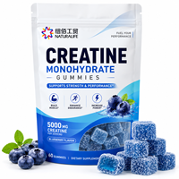 Complément alimentaire fonctionnel à base de créatine monohydrate avec saveur de fruits naturels pour l'entraînement sportif et la vitalité quotidienne