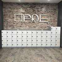 ABS Serrure à clé à combinaison électronique Étudiant Gym Locker Knock-Down Stockage Vêtements Armoire Pièces moulées Écologique pour les bureaux