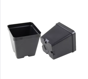 <span class=keywords><strong>Macetas</strong></span> <span class=keywords><strong>Cuadradas</strong></span> <span class=keywords><strong>de</strong></span> Plástico para Cultivar y Exhibir tus Plantas Favoritas - Product Image 2