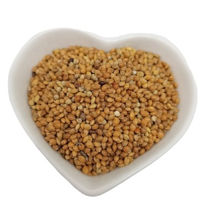 <span class=keywords><strong>Millet</strong></span> perlé hybride de qualité supérieure, jaune, blanc, rouge, doré, en gros, fourni par l'usine - Product Image 1