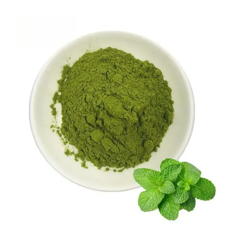 100%Pure peppermint Leaf extract Powder High quality Pepper Mint Powder