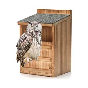 带鸟架的尖叫猫头鹰屋大型手工木制矩形开口鸟箱易于组装
