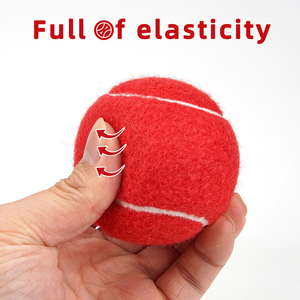 Sunraymascota Logo personalizzato gomma cane palla da Tennis cane cane interattivo per animali domestici giocattolo da masticare Pet <span class=keywords><strong>Squeaky</strong></span> palla da Tennis - Product Image 2