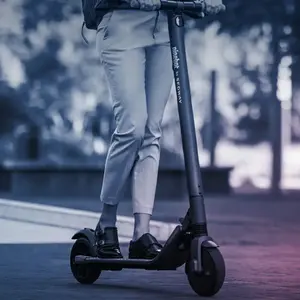 Sıcak satış Segway E22 elektrikli scooter maksimum hız 20 km/h scooter mola ışığı ile