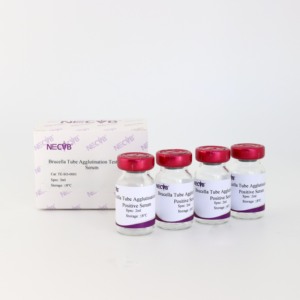 Prueba de control de anticuerpos positivos a Brucella para diagnóstico serológico de SAT/Brucelosis/pruebas de enfermedades en ganado - Product Image 6