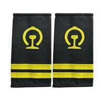 Épaulettes personnalisées brodées, rayures écologiques thermocollantes/à coudre, écussons de mode brodés pour uniformes professionnels