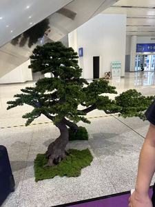 Cây thông Phong cách Trung Quốc Mới giả mạo trang trí cảnh quan cây thông nhân tạo chào đón khách thông Đẹp Màu Đỏ - Product Image 5