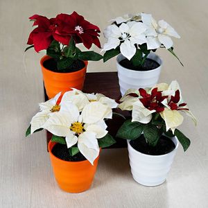 Luz <span class=keywords><strong>de</strong></span> noche <span class=keywords><strong>de</strong></span> Poinsettia luminosa, <span class=keywords><strong>maceta</strong></span> <span class=keywords><strong>de</strong></span> flores artificiales transfronteriza Popular para Navidad, Año Nuevo, flores decorativas, plantas - Product Image 4