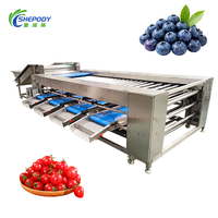 Shepody Automatische Chili Kersen Citrus Sorteermachine voor Landbouw, Geschikt voor Groente- en Fruitverwerkingslijnen