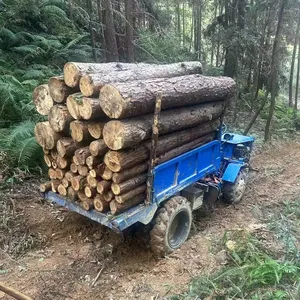 MACHINE DE TRANSPORT EN BOIS ET EN BAMBOU À ENTRAÎNEMENT COMPLET 4 Tonnes Modèle 1500