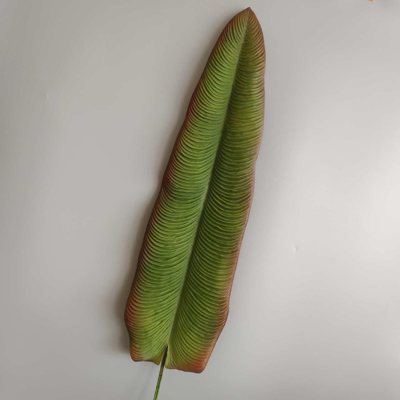 Vert avec bord rouge-taille M