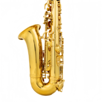 Customized Brass Body Eb Alto Saxophone Gold Lacquer Finish Professional Elbow Wind Instrument for Beginner with Accessories