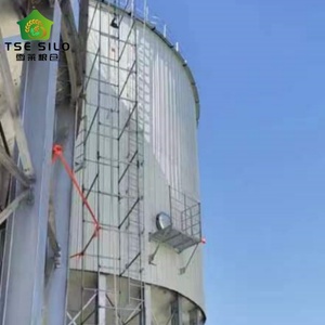 Silos à maïs en acier galvanisé de bonne qualité, fond conique, capacité de 100T à 10000T, certifiés ISO CE, longue durée de vie de 20 à 50 ans - Product Image 6