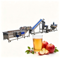 Ligne de production automatique de jus et de boissons en acier inoxydable pour purée d'orange et de pomme avec pasteurisateur et unité d'embouteillage