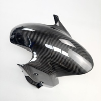 Carénage de garde-boue avant en fibre de carbone imperméable, léger et haute résistance pour moto S1000RR 2023-2024