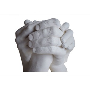 Meilleure qualité de moulage et de moulage <span class=keywords><strong>d</strong></span>'empreinte <span class=keywords><strong>dentaire</strong></span> <span class=keywords><strong>d</strong></span>'alginate poudre lent 12 minutes de travail - Product Image 6