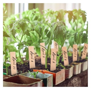 Étiquettes personnalisées en bois pour plantes, 100 pièces, pour herbes, fleurs, légumes, plantes décoratives, plantes en pot, marqueurs <span class=keywords><strong>de</strong></span> jardin - Product Image 5