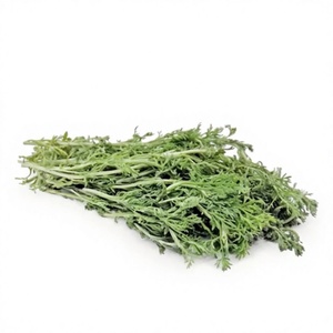 Katyani Exports Davana (Artemisia Pallens) Essential Oil Steam Distilled Herbal Oil- For Cosmetics Industry- From Madhya Pradesh - Product Image 4